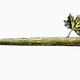 Image for article titled How Maple Bats Kicked Ash And Conquered Baseball